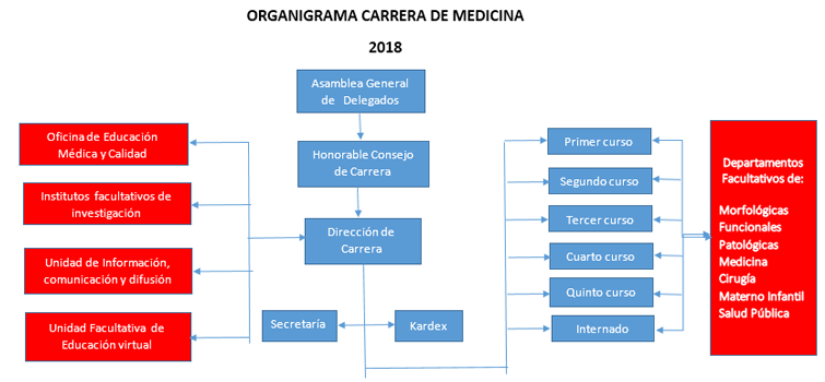 Estructura Orgánica