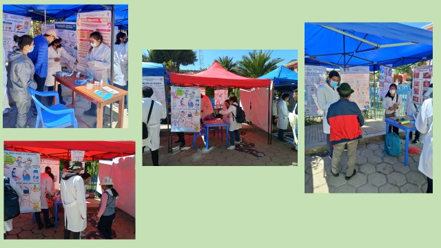 Prevención primaria Palca