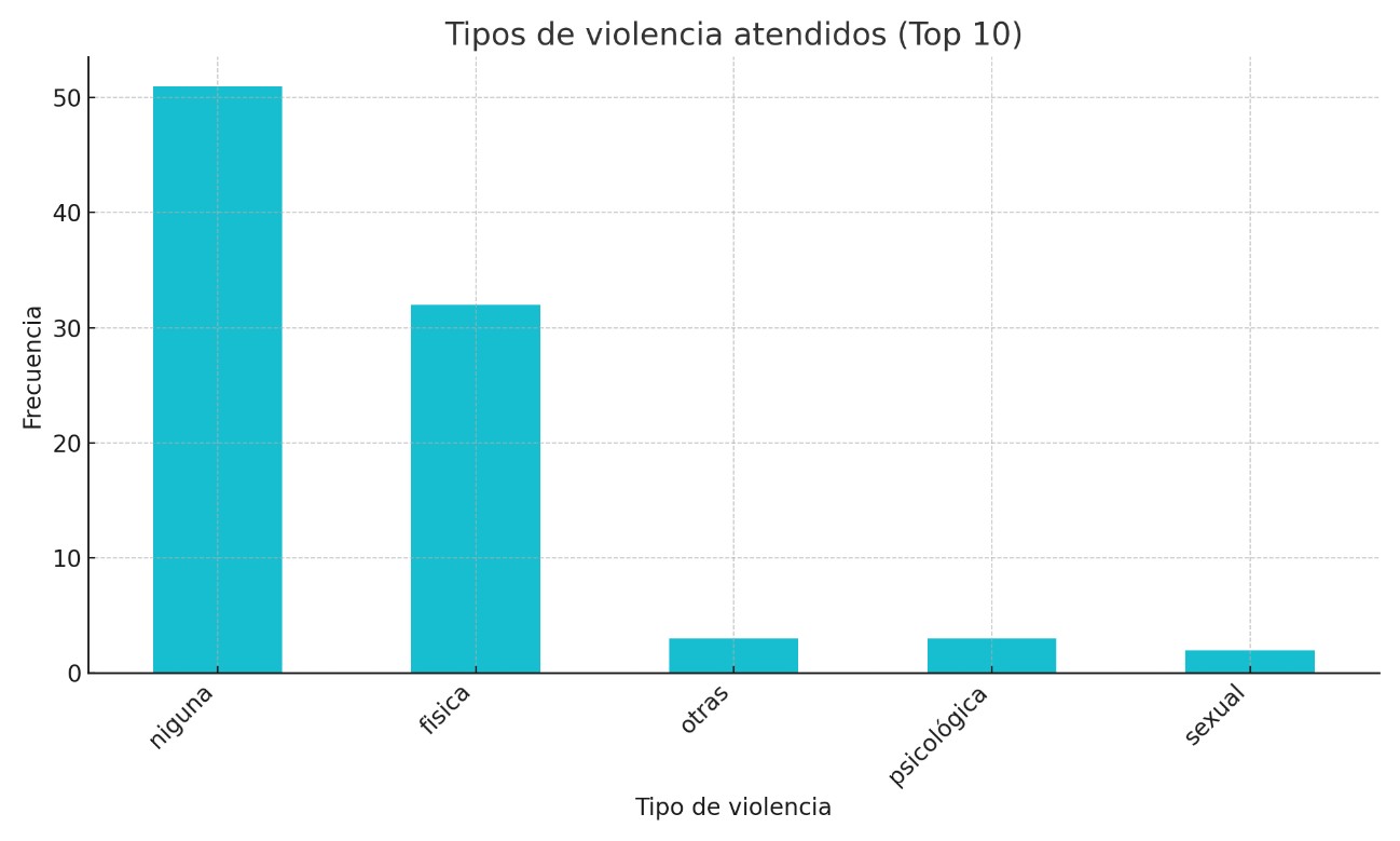 Tipos de violencia atendidos